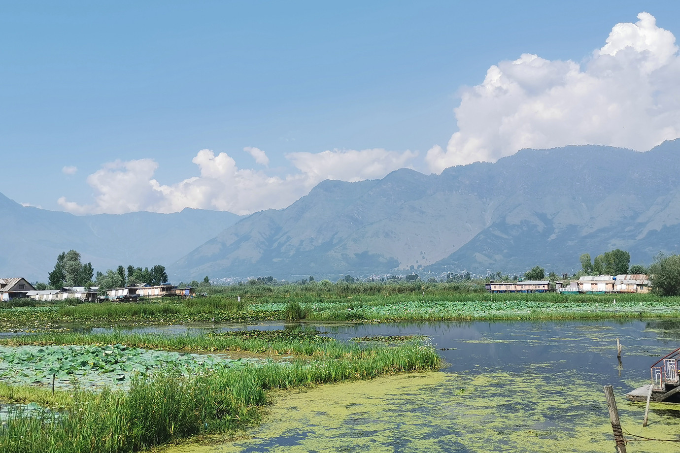 喀什米爾-斯利納加 Srinagar 番王船屋